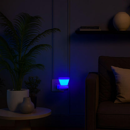 Signamio 2 in 1 Electric Kapoor Dani and Camphor Diffuser Burner - Perfect for Pooja Rooms, Aroma Oil Diffusion and Room Freshening - Home Fragrance Product (Blue)