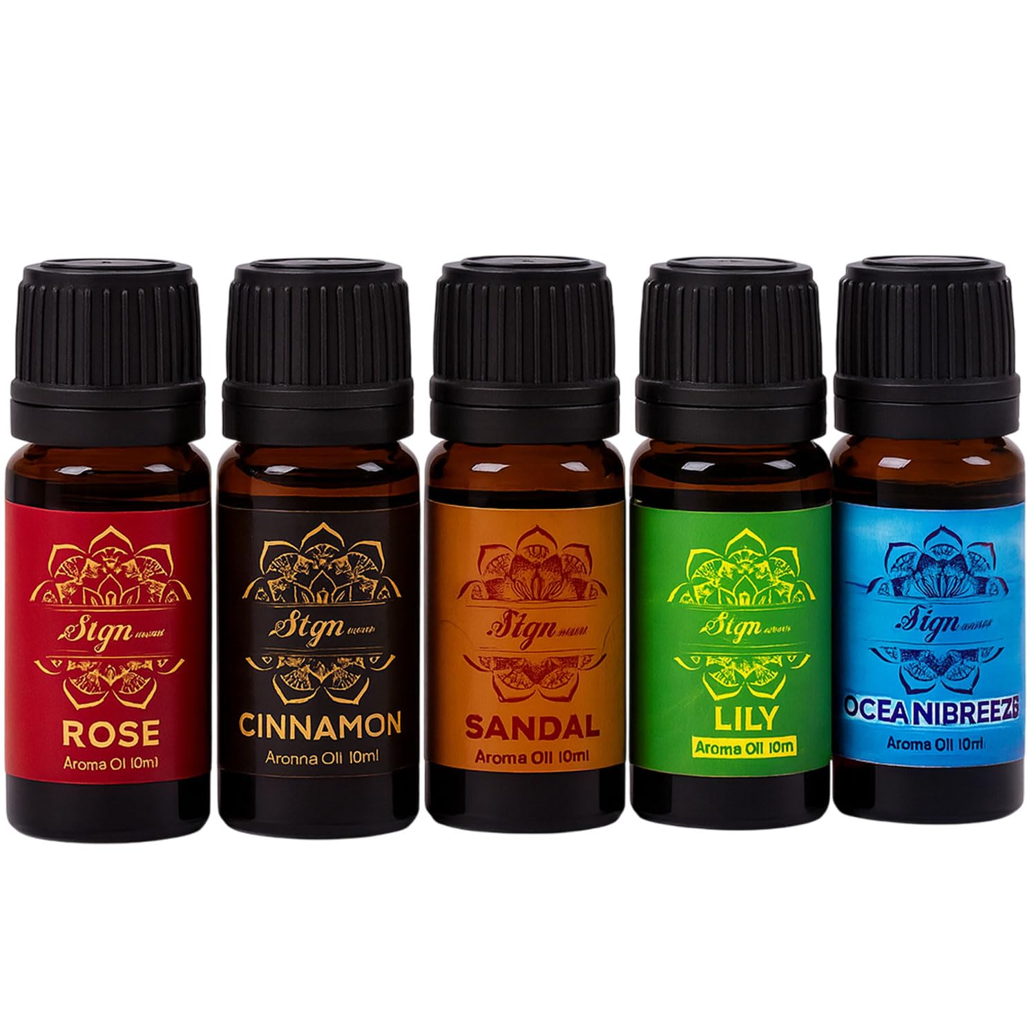 Signamio 10 Pcs Essential Oil Set - Premium Reed Diffuser Fragrance Aroma Oil Collection for Home & Office - Long-Lasting Scented Essential Oil Blends for Relaxation & Wellness