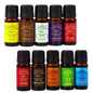 Signamio 10 Pcs Essential Oil Set - Premium Reed Diffuser Fragrance Aroma Oil Collection for Home & Office - Long-Lasting Scented Essential Oil Blends for Relaxation & Wellness