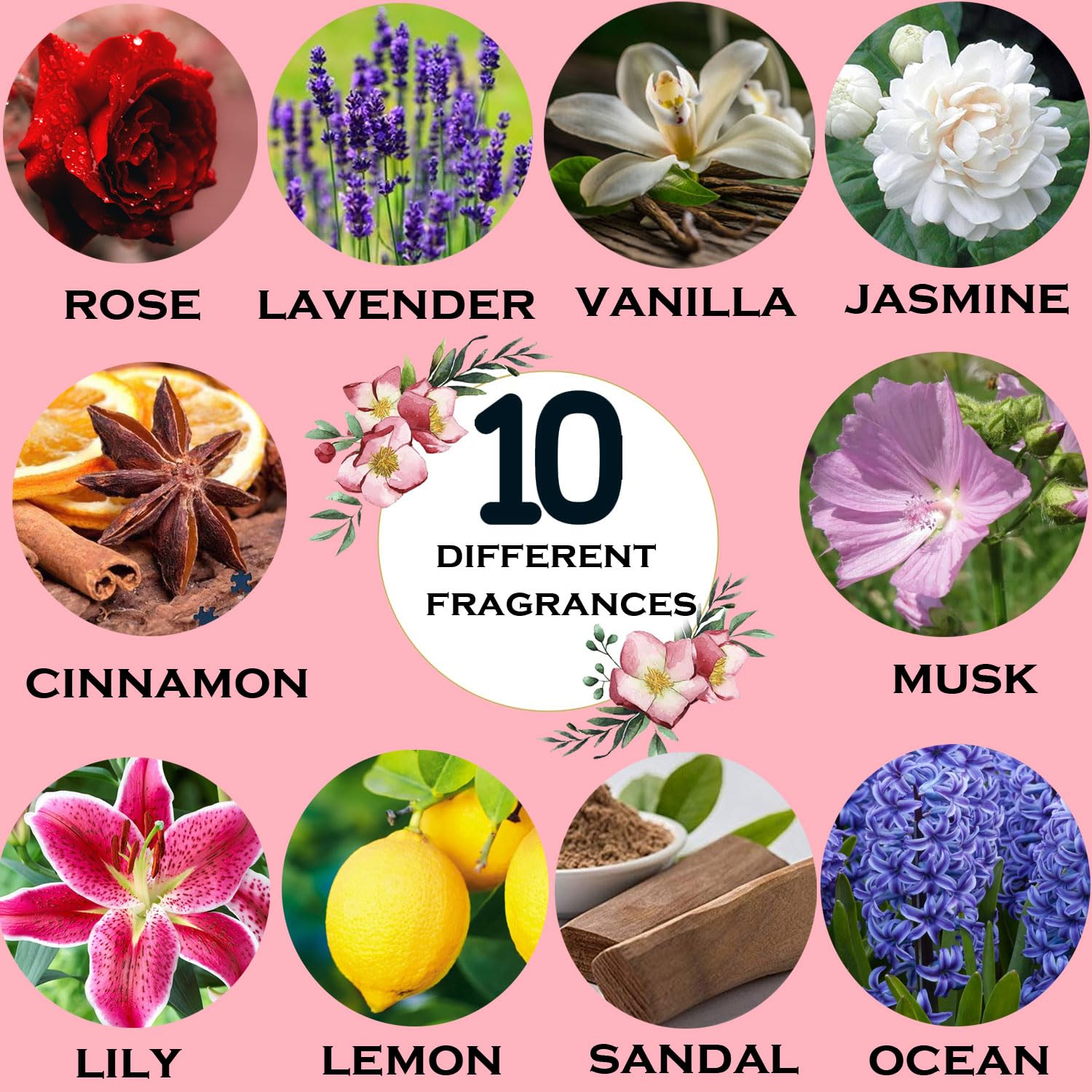 Signamio 10 Pcs Essential Oil Set - Premium Reed Diffuser Fragrance Aroma Oil Collection for Home & Office - Long-Lasting Scented Essential Oil Blends for Relaxation & Wellness