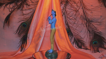 Standing Krishna Statue -(Packing-Box)